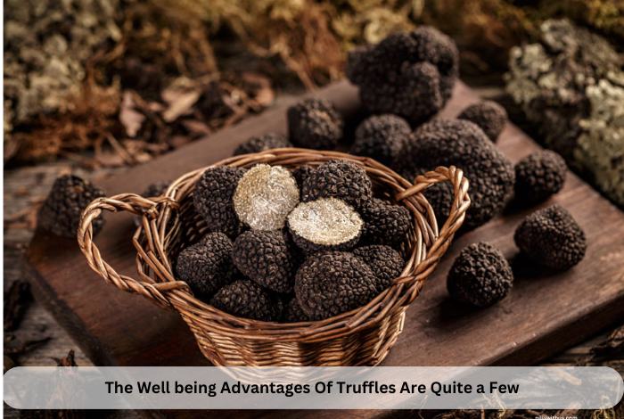 The Well being Advantages Of Truffles Are Quite a few