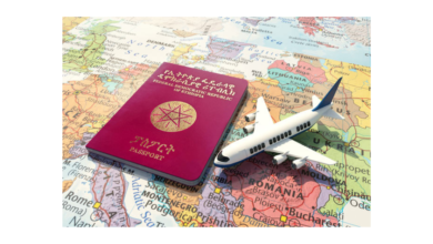 Embarking on Ethiopian Exploration : A Guide to Visa Procedures for Indian Citizens