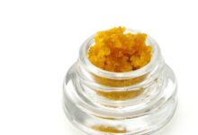 Nourish, Hydrate, Shine The Magic of Cannabis Hair Products