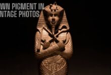 Brown Pigment in Vintage Photos